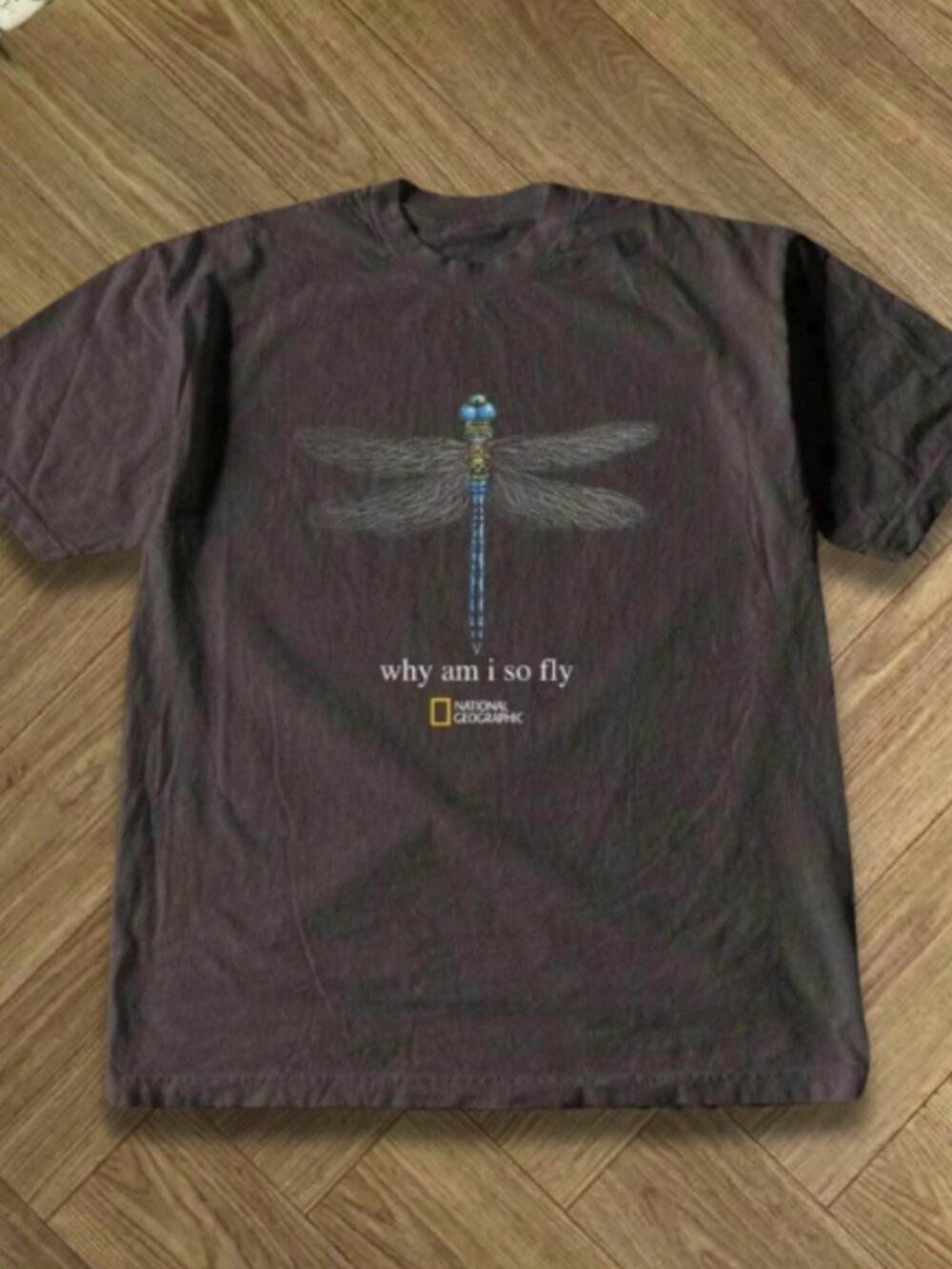Vintage Blue Dragonfly ''Why Am I So Fly'' Graphic Tee Charcoal